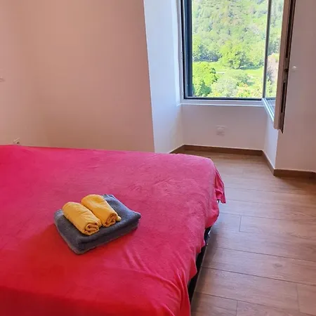 Club In Corsica * Porri