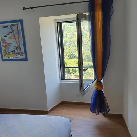 Club In Corsica * Porri