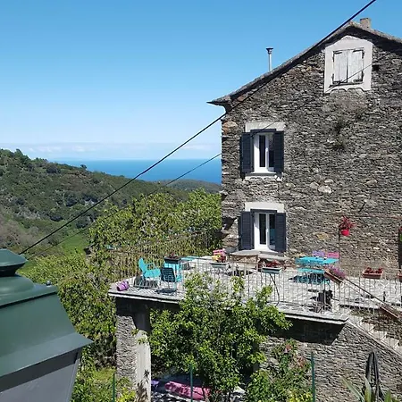 Club In Corsica Porri