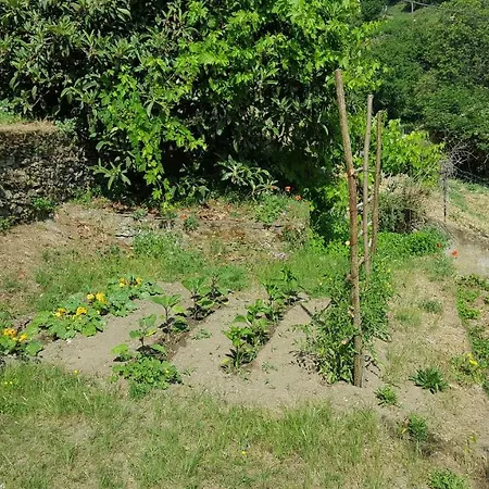 Club In Corsica B&B Porri