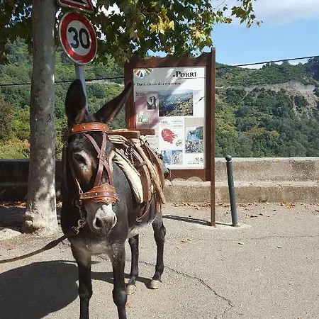 Club In Corsica Porri