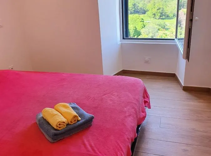 Club In Corsica * Porri