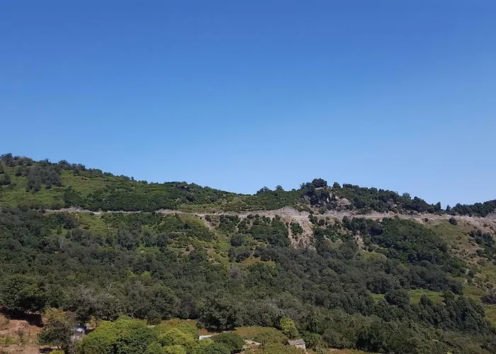 Club In Corsica Bed & Breakfast *