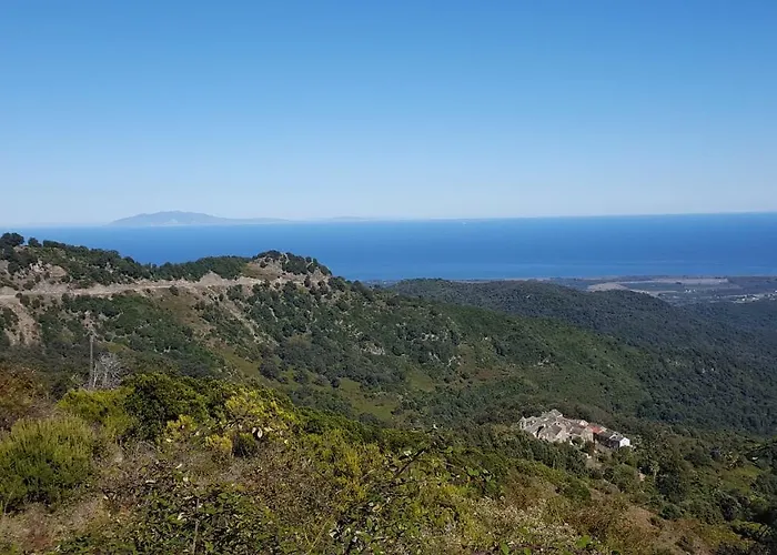 Bed & Breakfast Club In Corsica