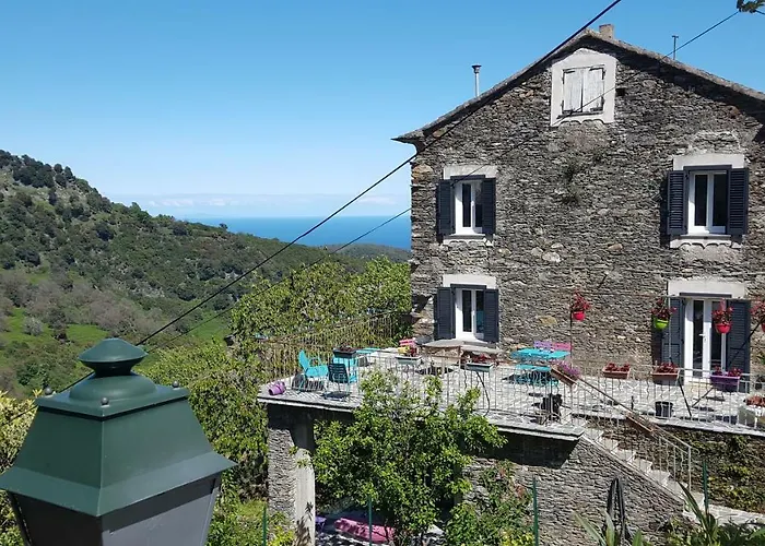 Club In Corsica Porri