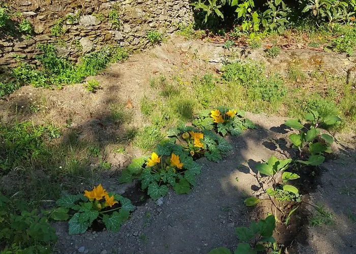 Bed & Breakfast Club In Corsica