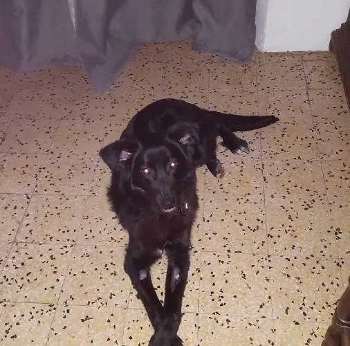 Club In Corsica Bed & Breakfast Porri