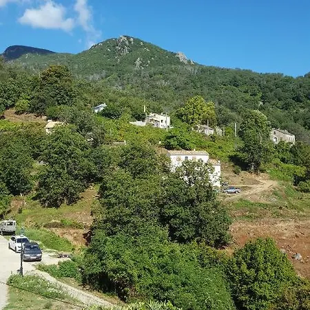 Club In Corsica Bed and breakfast *