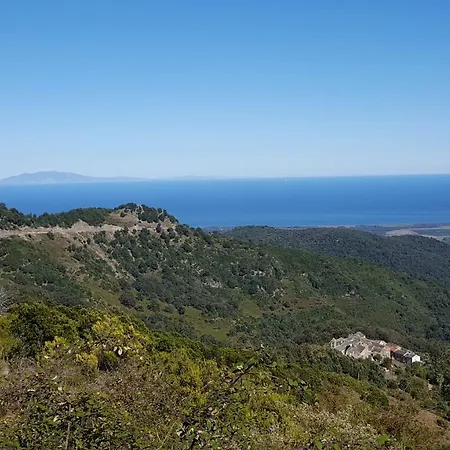 Bed and breakfast Club In Corsica