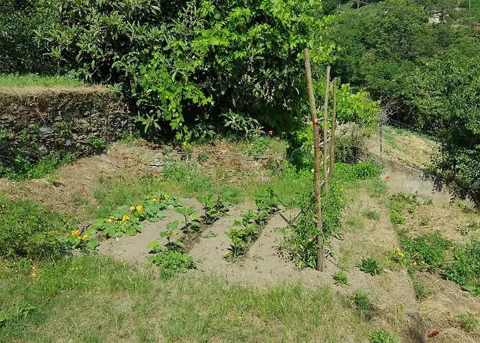 Club In Corsica Panzió Porri