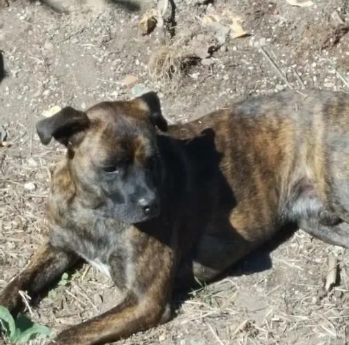 Club In Corsica Panzió Porri